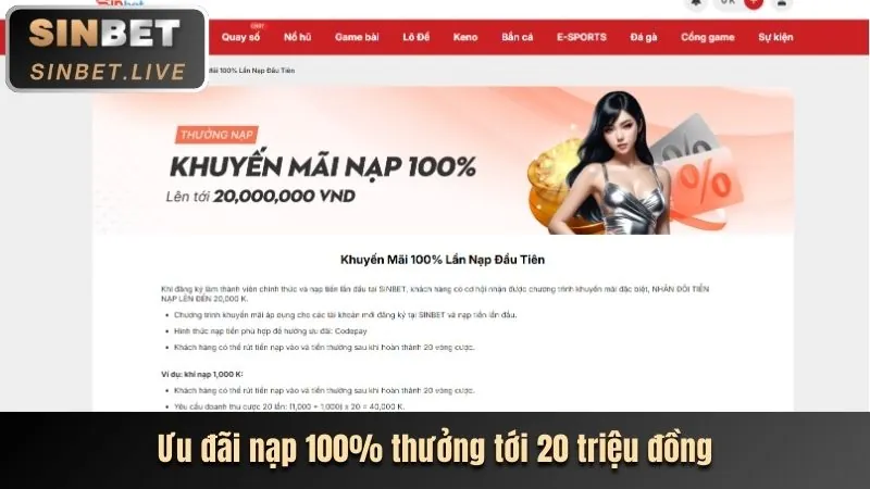 Hoàn trả hàng ngày MCW MPH